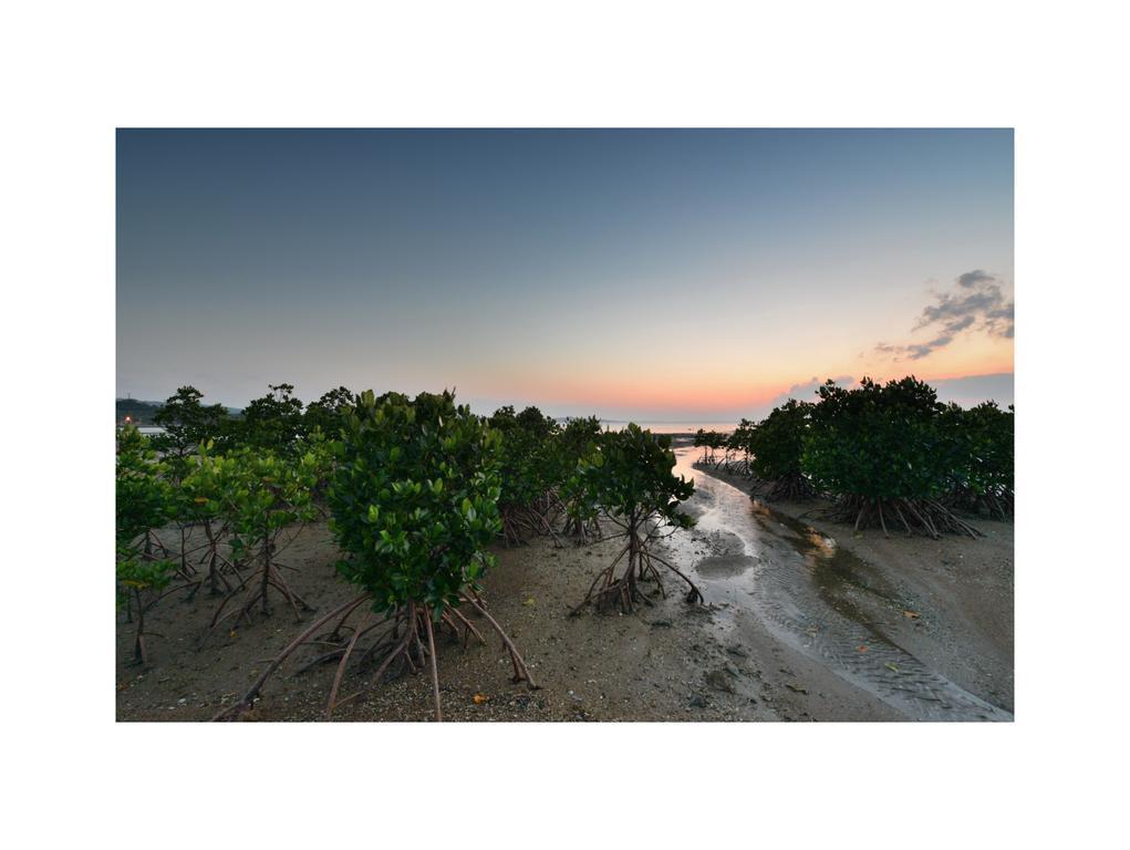 Oceanview Yui Otel Ishigaki  Dış mekan fotoğraf